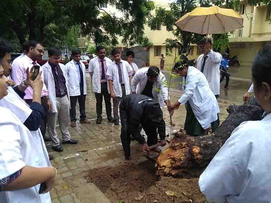 Adyar Cancer Institute tree plantation drive Viruksham