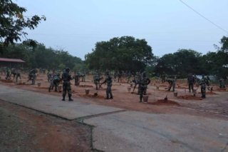 Tree Plantation world environment day (12)