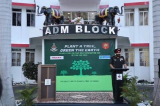 Tree Plantation world environment day (15)