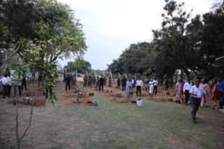 Tree Plantation world environment day (3)