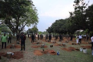 Tree Plantation world environment day (4)