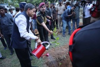 Tree Plantation world environment day (6)