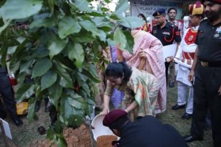 Tree Plantation world environment day (7)