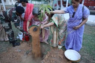 Tree Plantation world environment day (9)