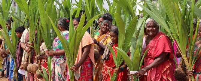 Tree Plantation