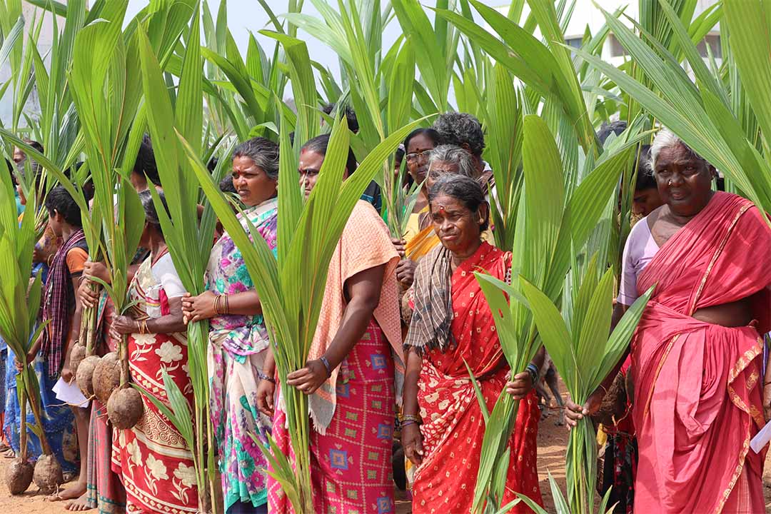 Best NGO for tree plantation Tree Plantation Near me